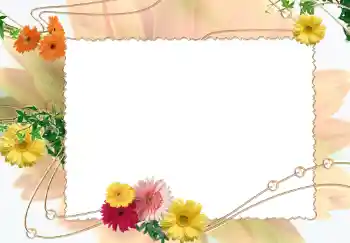 Efekt zdjęciowy z kategorii Ramki dla kobiet № 281