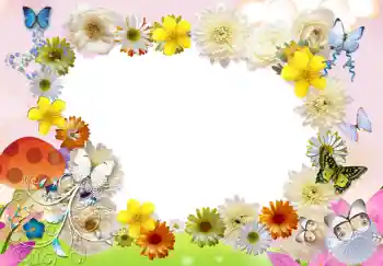 Efekt zdjęciowy z kategorii Ramki dla kobiet № 283