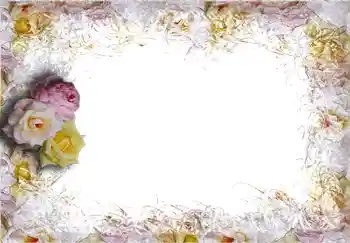 Efekt zdjęciowy z kategorii Ramki dla kobiet № 284