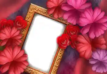 Efekt zdjęciowy z kategorii Ramki dla kobiet № 2919