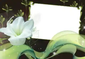 Efekt zdjęciowy z kategorii Ramki dla kobiet № 2920