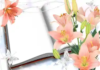 Efekt zdjęciowy z kategorii Ramki dla kobiet № 2985