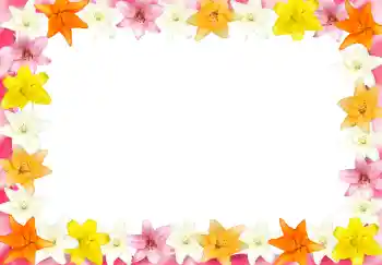 Efekt zdjęciowy z kategorii Ramki dla kobiet № 2989