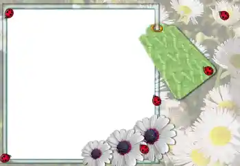 Efekt zdjęciowy z kategorii Ramki dla kobiet № 3103