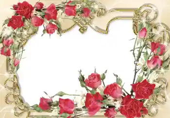 Efekt zdjęciowy z kategorii Ramki dla kobiet № 31765