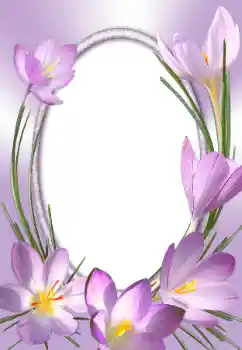 Efekt zdjęciowy z kategorii Ramki dla kobiet № 31786