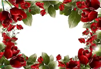 Efekt zdjęciowy z kategorii Ramki dla kobiet № 31814