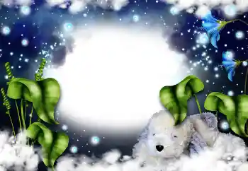 Efekt zdjęciowy z kategorii Ramki dla kobiet № 31821