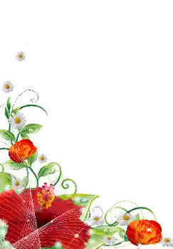 Efekt zdjęciowy z kategorii Ramki dla kobiet № 31839