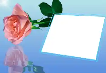 Efekt zdjęciowy z kategorii Ramki dla kobiet № 32721