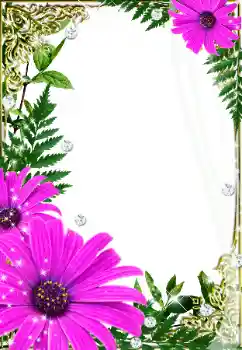 Efekt zdjęciowy z kategorii Ramki dla kobiet № 32733