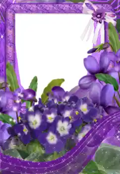 Efekt zdjęciowy z kategorii Ramki dla kobiet № 33734