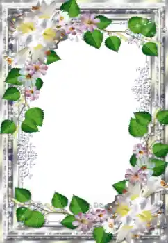 Efekt zdjęciowy z kategorii Ramki dla kobiet № 33735