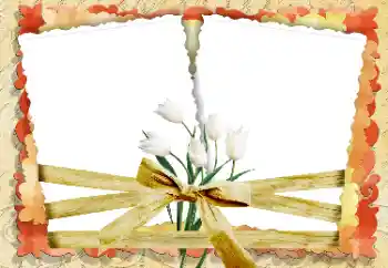 Efekt zdjęciowy z kategorii Ramki dla kobiet № 33847