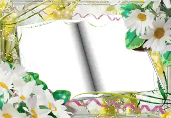 Efekt zdjęciowy z kategorii Ramki dla kobiet № 33968