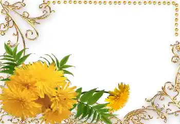 Efekt zdjęciowy z kategorii Ramki dla kobiet № 34042