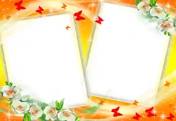 Efekt zdjęciowy z kategorii Ramki dla kobiet № 34046