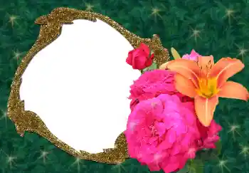 Efekt zdjęciowy z kategorii Ramki dla kobiet № 34688