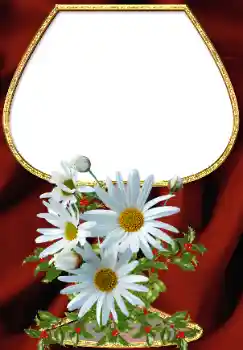 Efekt zdjęciowy z kategorii Ramki dla kobiet № 34708