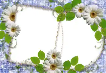 Efekt zdjęciowy z kategorii Ramki dla kobiet № 34745