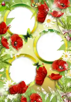 Efekt zdjęciowy z kategorii Ramki dla kobiet № 34748