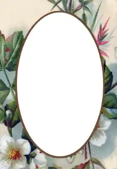 Efekt zdjęciowy z kategorii Ramki dla kobiet № 34845