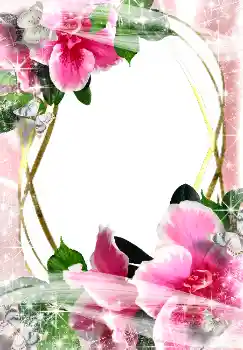 Efekt zdjęciowy z kategorii Ramki dla kobiet № 3487