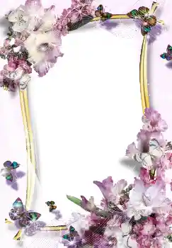 Efekt zdjęciowy z kategorii Ramki dla kobiet № 3488