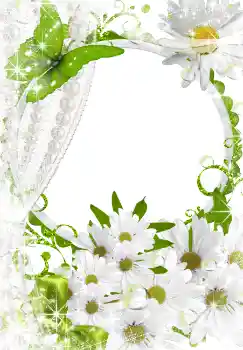 Efekt zdjęciowy z kategorii Ramki dla kobiet № 3493