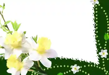 Efekt zdjęciowy z kategorii Ramki dla kobiet № 35016