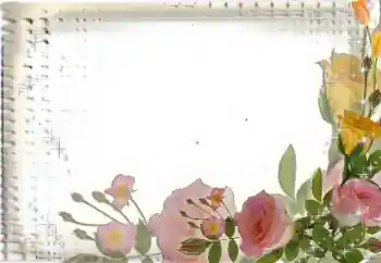 Efekt zdjęciowy z kategorii Ramki dla kobiet № 35017