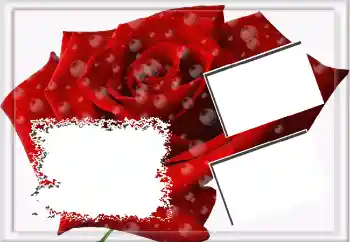 Efekt zdjęciowy z kategorii Ramki dla kobiet № 3592