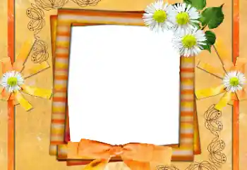 Efekt zdjęciowy z kategorii Ramki dla kobiet № 36135