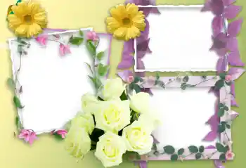 Efekt zdjęciowy z kategorii Ramki dla kobiet № 37138