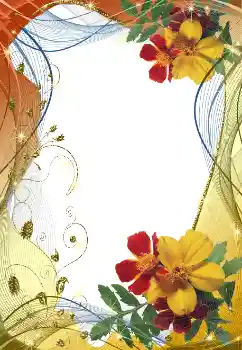 Efekt zdjęciowy z kategorii Ramki dla kobiet № 38596