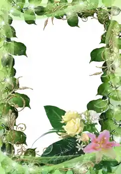 Efekt zdjęciowy z kategorii Ramki dla kobiet № 38597