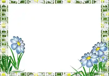 Efekt zdjęciowy z kategorii Ramki dla kobiet № 39026