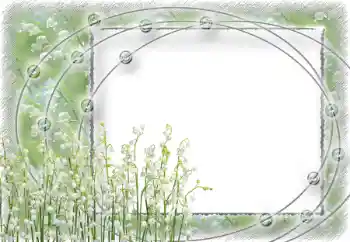 Efekt zdjęciowy z kategorii Ramki dla kobiet № 39112