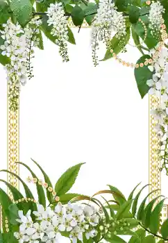 Efekt zdjęciowy z kategorii Ramki dla kobiet № 40343