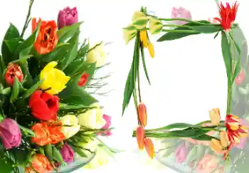 Efekt zdjęciowy z kategorii Ramki dla kobiet № 40387