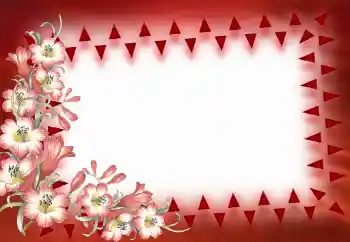 Efekt zdjęciowy z kategorii Ramki dla kobiet № 40390