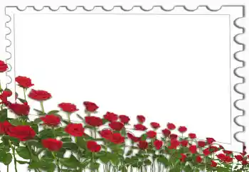 Efekt zdjęciowy z kategorii Ramki dla kobiet № 4162