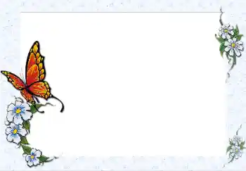 Efekt zdjęciowy z kategorii Ramki dla kobiet № 42548