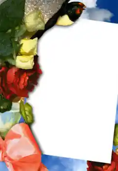 Efekt zdjęciowy z kategorii Ramki dla kobiet № 42754