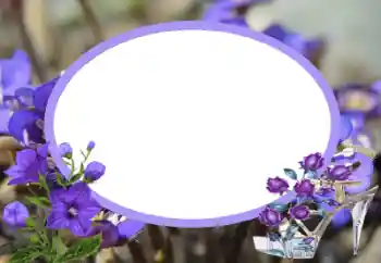 Efekt zdjęciowy z kategorii Ramki dla kobiet № 43545