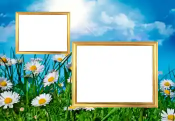 Efekt zdjęciowy z kategorii Ramki dla kobiet № 43572