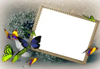 Efekt zdjęciowy z kategorii Ramki dla kobiet № 43592