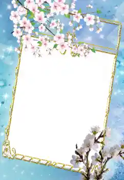 Efekt zdjęciowy z kategorii Ramki dla kobiet № 43639