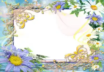 Efekt zdjęciowy z kategorii Ramki dla kobiet № 45792