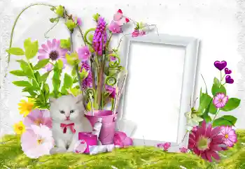 Efekt zdjęciowy z kategorii Ramki dla kobiet № 45889